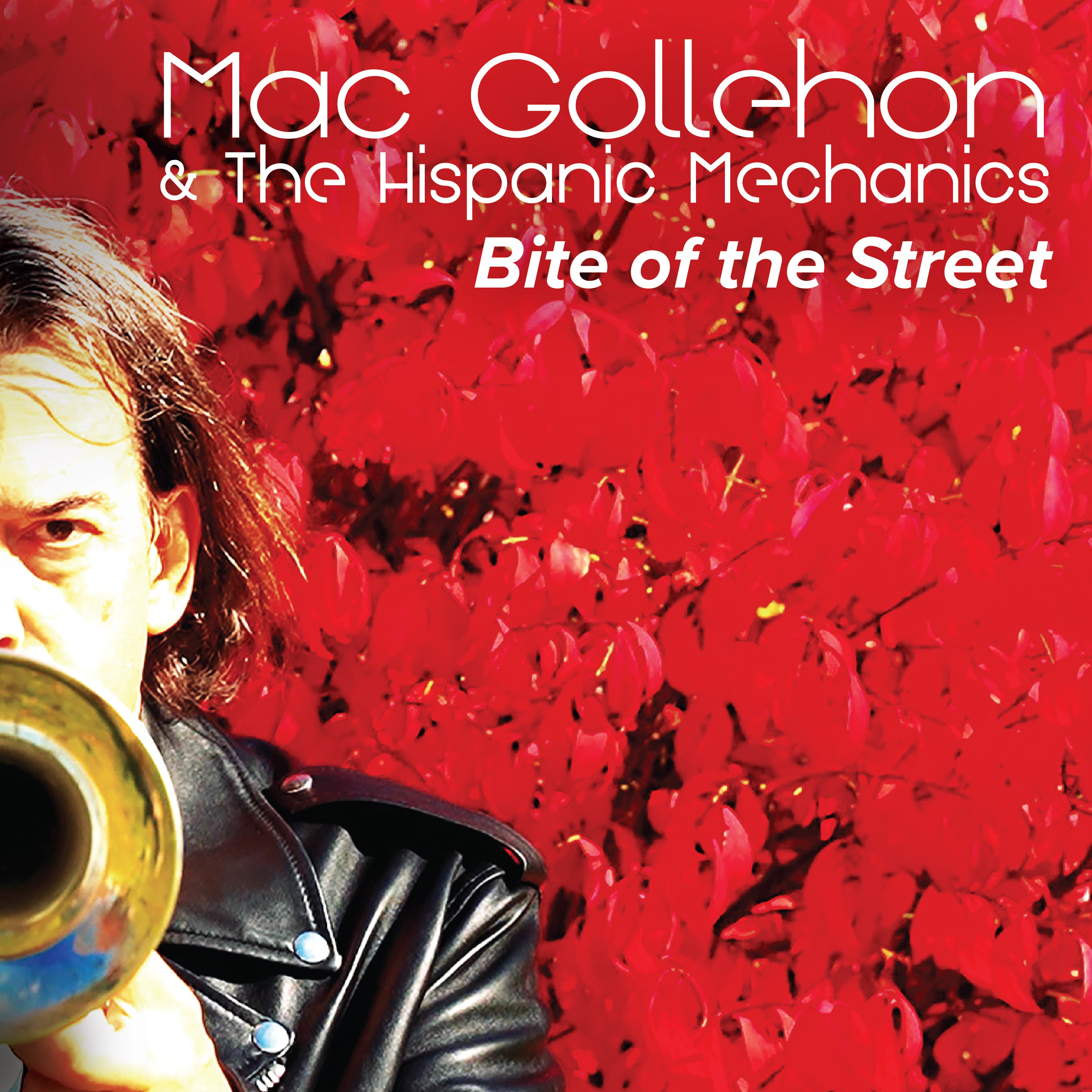 MAC GOLLEHON & THE HISPANIC MECHANICS - Bite of the Street