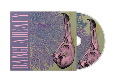 Load image into Gallery viewer, Vulture