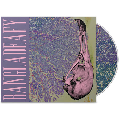 Load image into Gallery viewer, Vulture