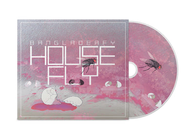 Load image into Gallery viewer, Housefly