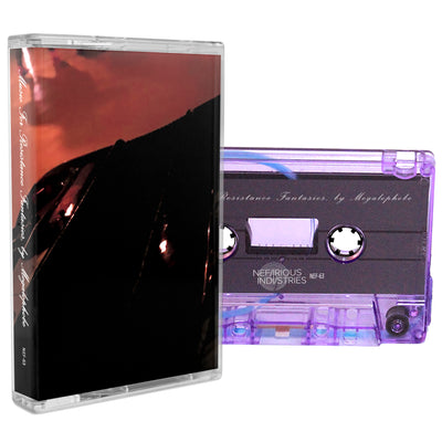 Load image into Gallery viewer, Music For Resistance Fantasies