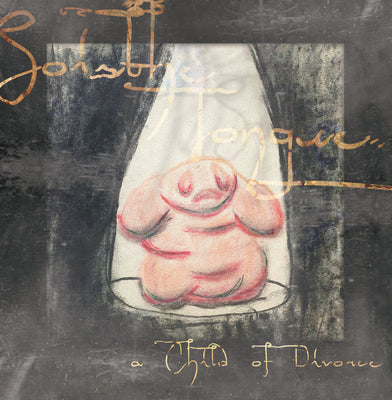 Load image into Gallery viewer, a Child of Divorce