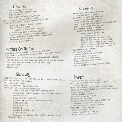 Load image into Gallery viewer, In Series