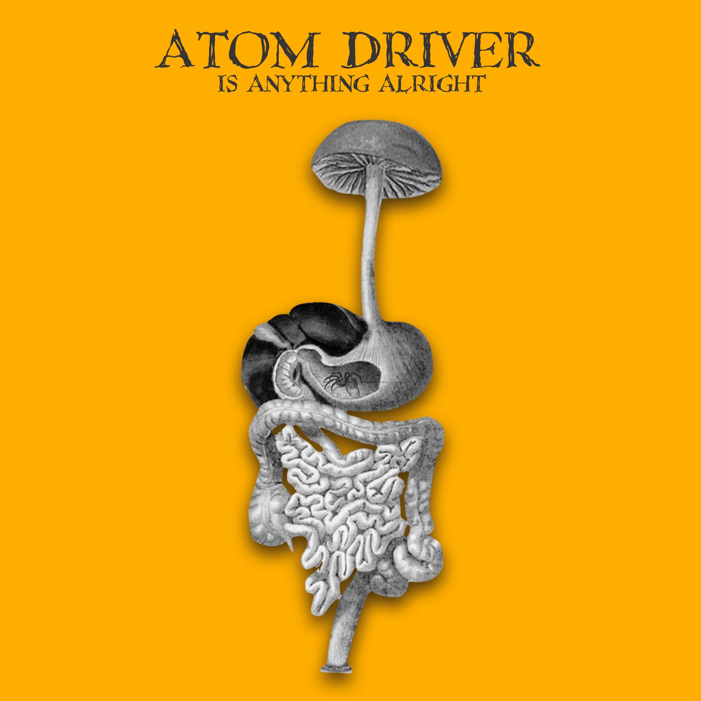 ATOM DRIVER - Is Anything Alright