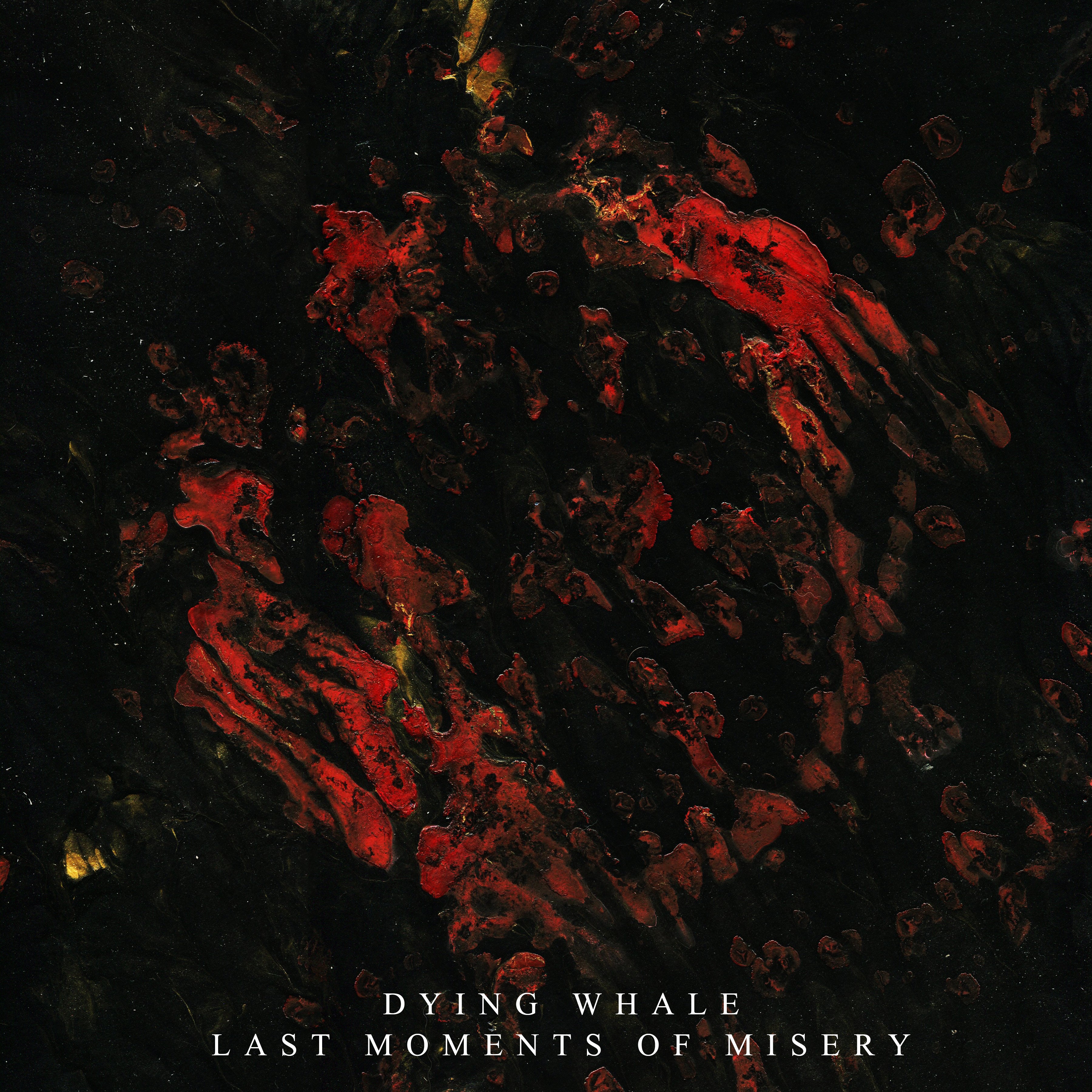 DYING WHALE - Last Moments of Misery