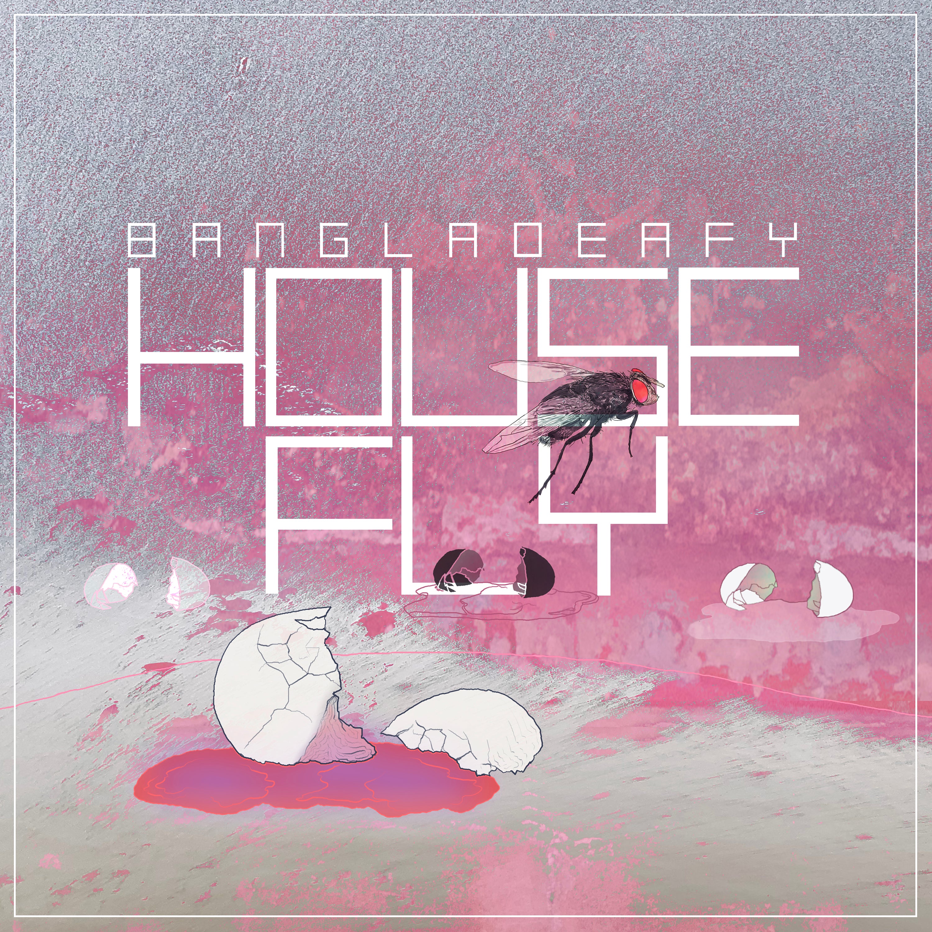 BANGLADEAFY - Housefly
