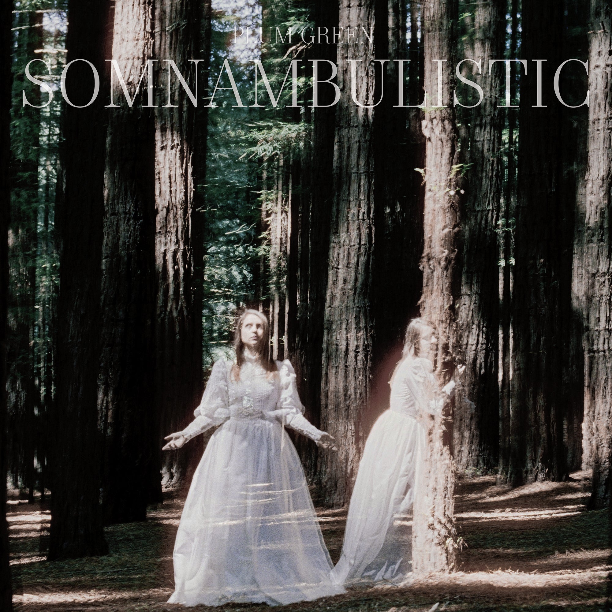 PLUM GREEN - Somnambulistic