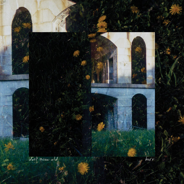 Don't Grow Old // Burr - Split 7