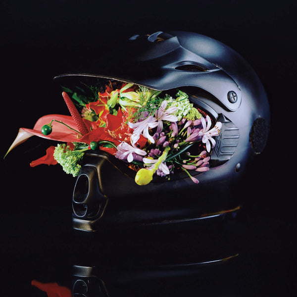 LAVISHER - Aligned & Vital