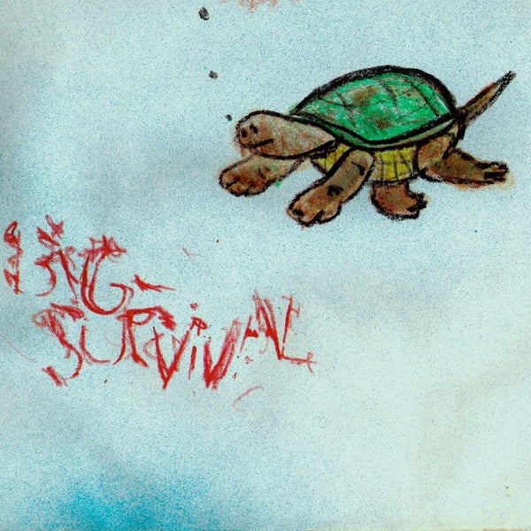 PIGEON - Big Survival