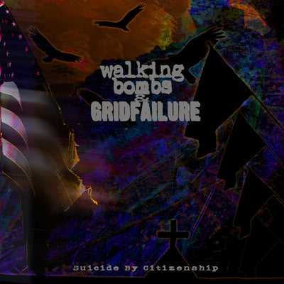 Load image into Gallery viewer, Suicide By Citizenship
